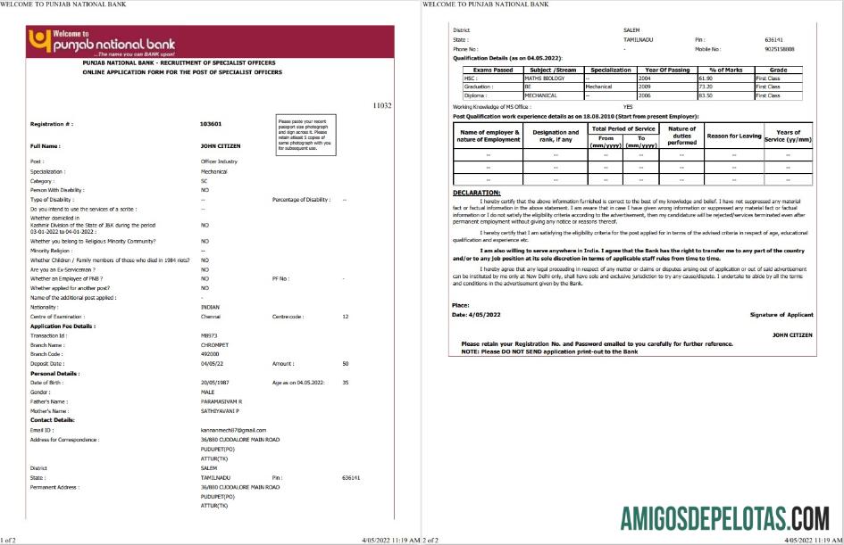 em branco Índia Punjab National modelo de extrato bancário Word e PDF, 2 páginas
